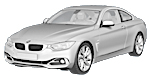 BMW F32 P315B Fault Code